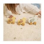 LD7130 Povuci i protresi pilence - Slika 2