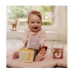 LD9016 Set mekanih kocki Fairy Garden - Slika 2