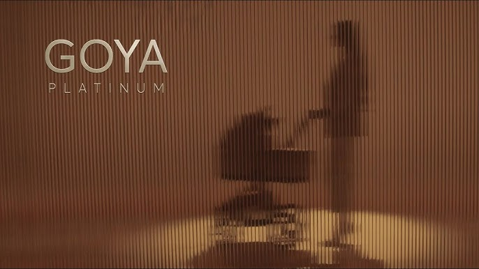 Goya Platinum Kikka Boo kolica 3u1